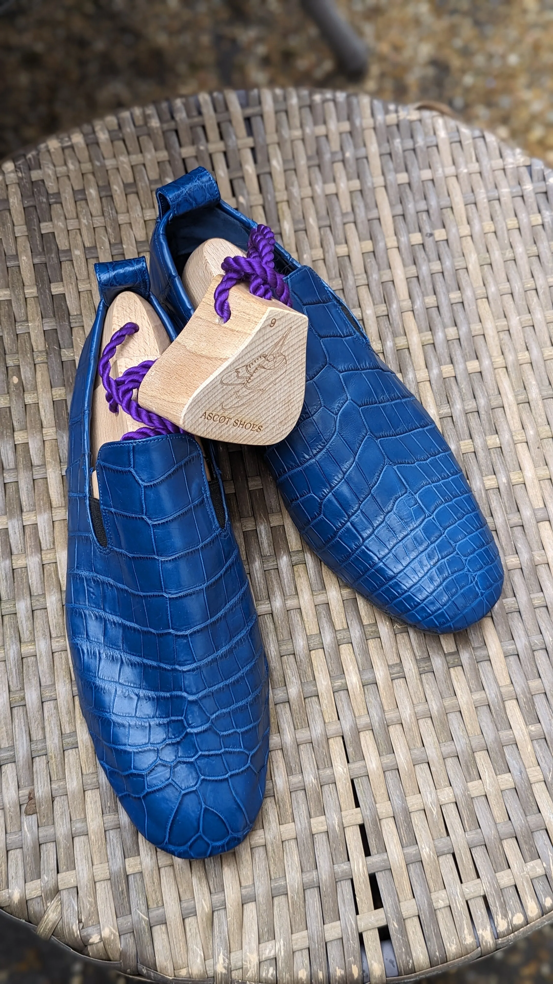 Ascot Tate - Blue Crocodile