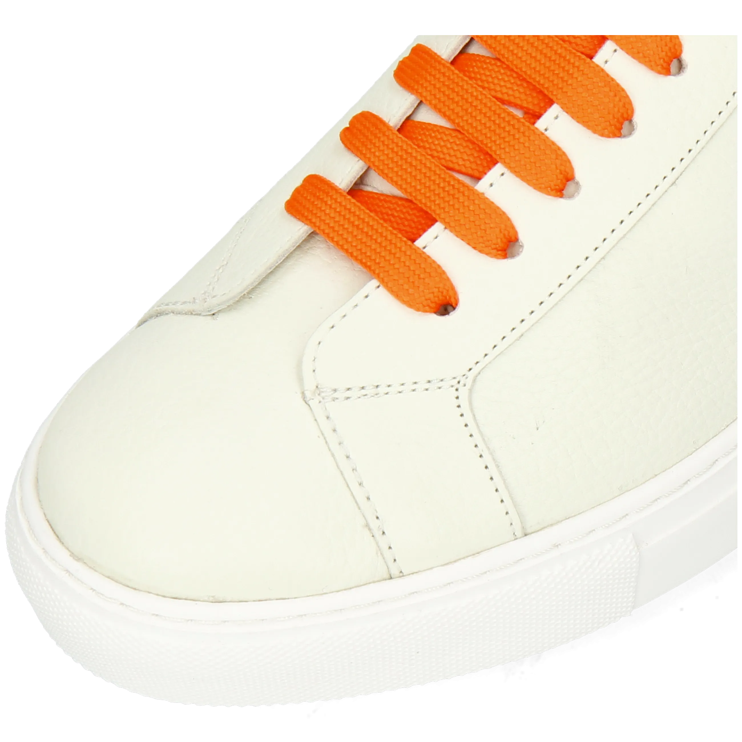 Harvey 71