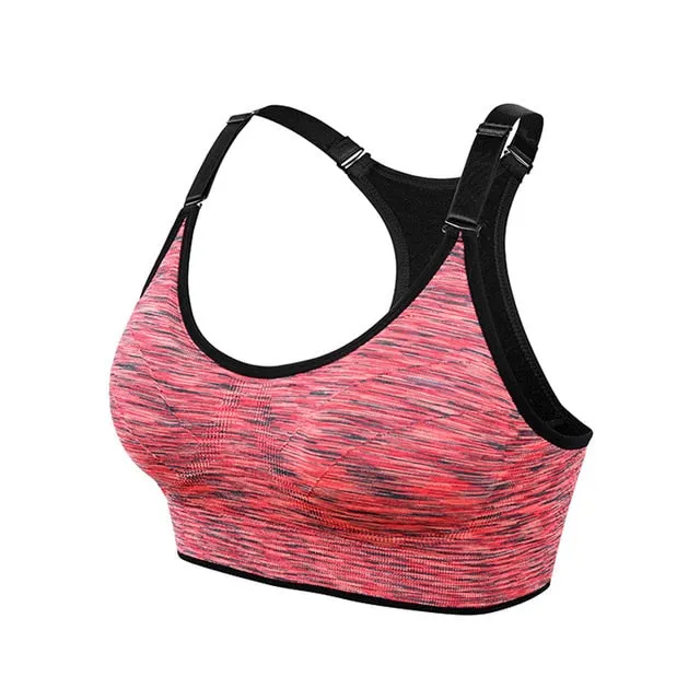 Padded Sports Bra