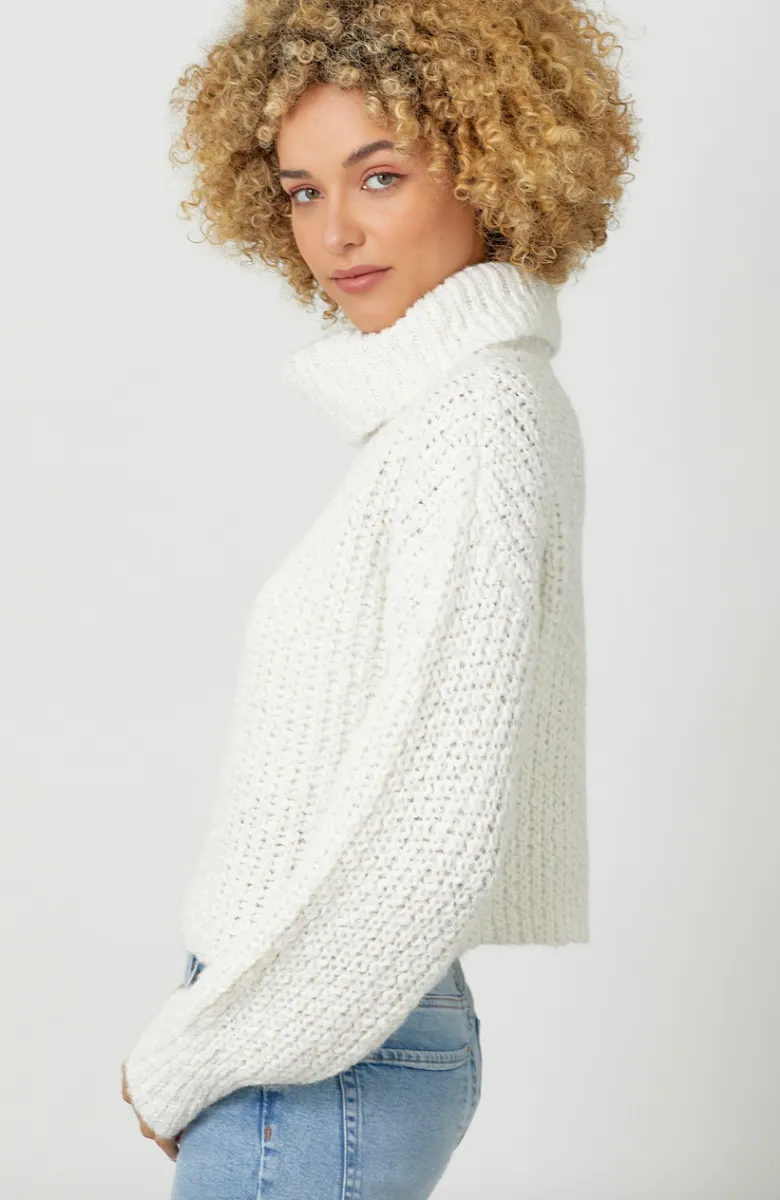 The Jaimee Turtleneck Cropped Sweater