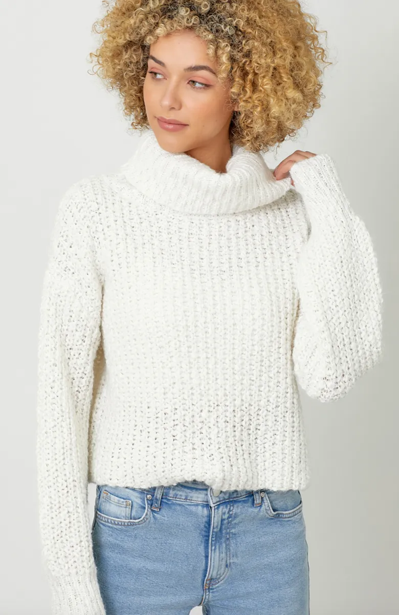 The Jaimee Turtleneck Cropped Sweater